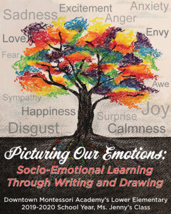 Picturing Our Emotions Book Cover